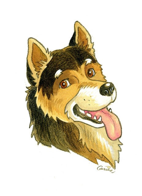 Wolfo Tete.JPG