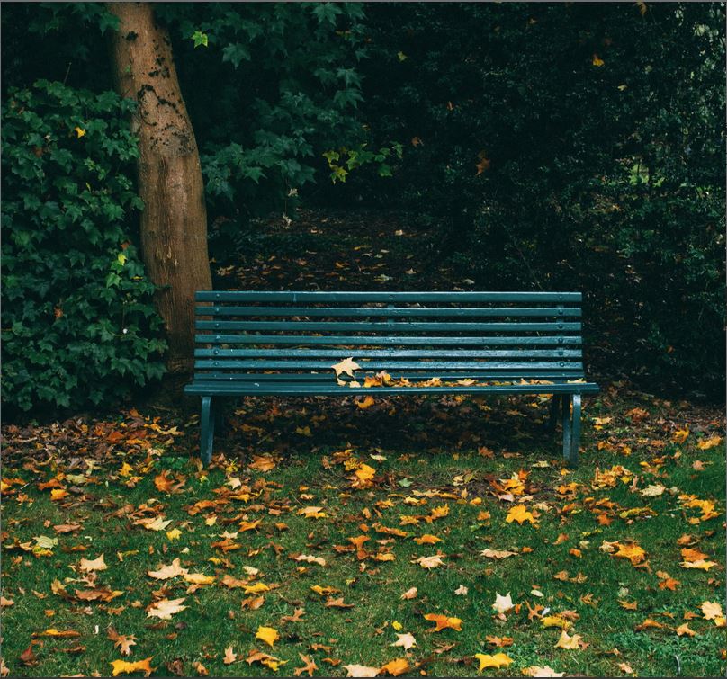Image média: Parc de Rovéréaz