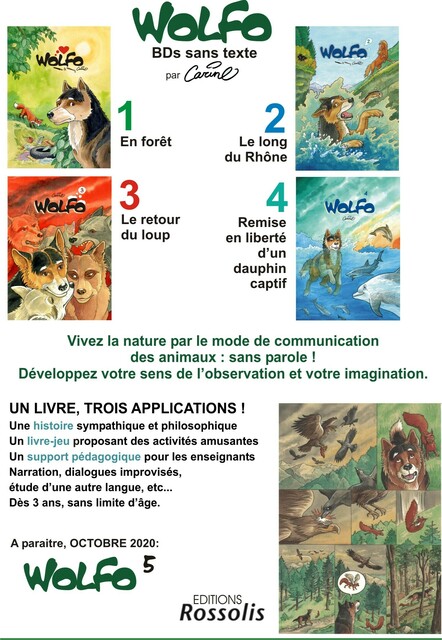 Diffuseurs descriptif Wolfo.JPG
